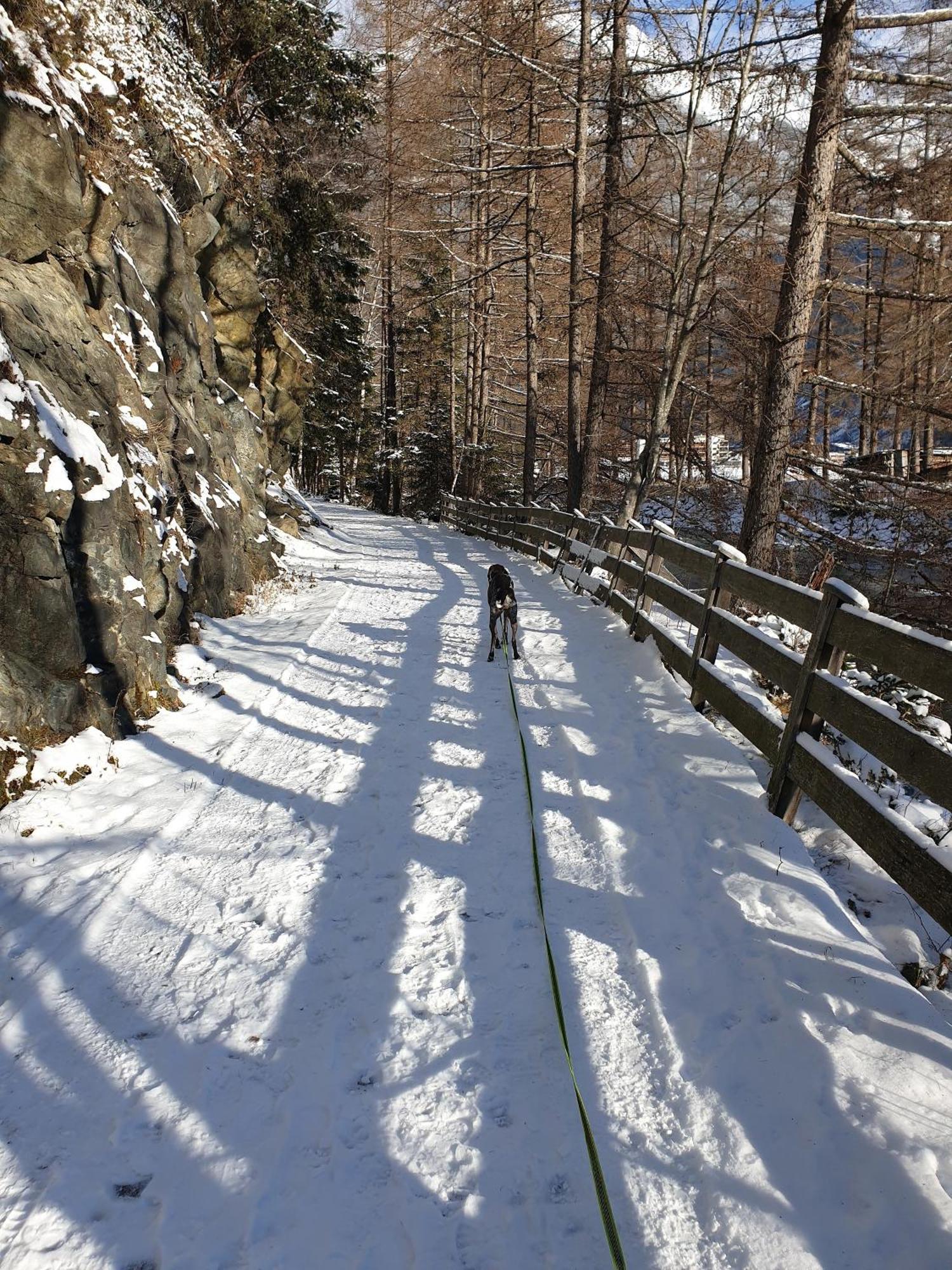 Ferienapart Bergstille Längenfeld Dış mekan fotoğraf