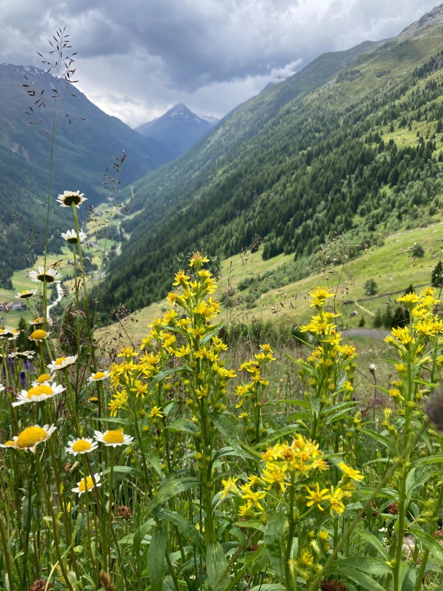 Ferienapart Bergstille Längenfeld Dış mekan fotoğraf